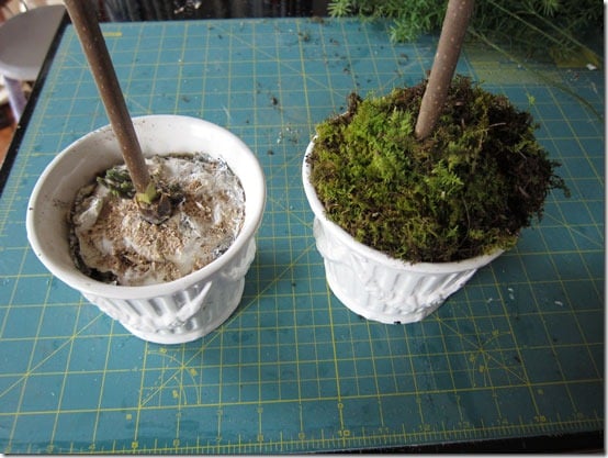 How-to-make-a-fake-topiary stand straight.