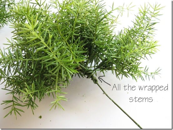 How-to-make-a-topiary--knot