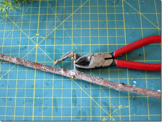 How to cut branch for making a fake topiary.