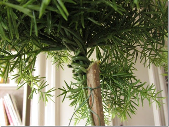 How-to-make-a-topiary-wire-