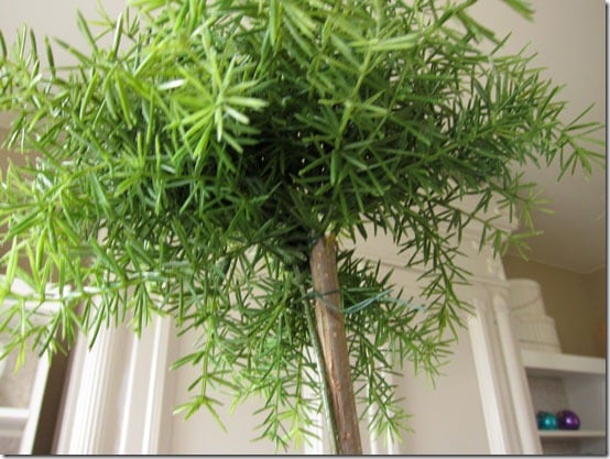 how-to-make-a-topiary-fill-