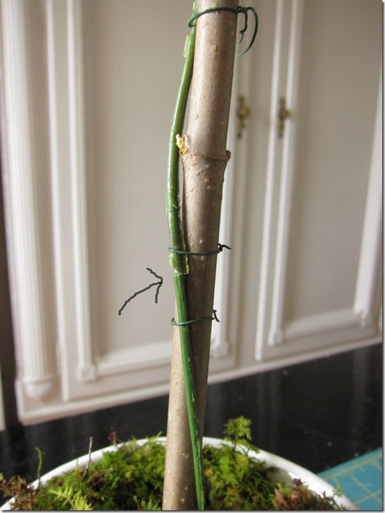 how-to-make-a-topiary-match