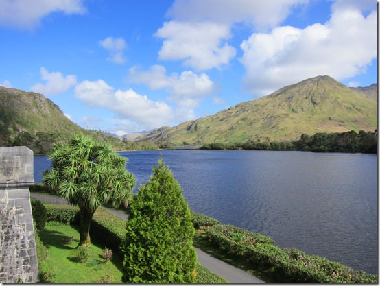 Palm-Trees-in-Ireland along a lake