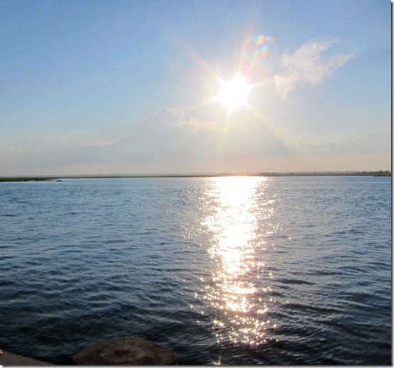 Bay-in-Stone-Harbor