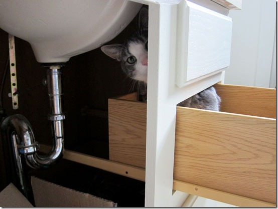 Trax-in-the-bathroom-drawer