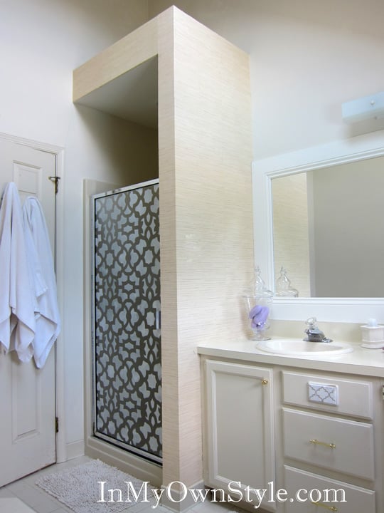 Stenciled Shower Door