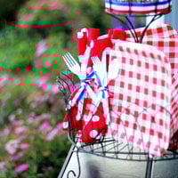 Outdoor Entertaining Idea for paper plates and utensils