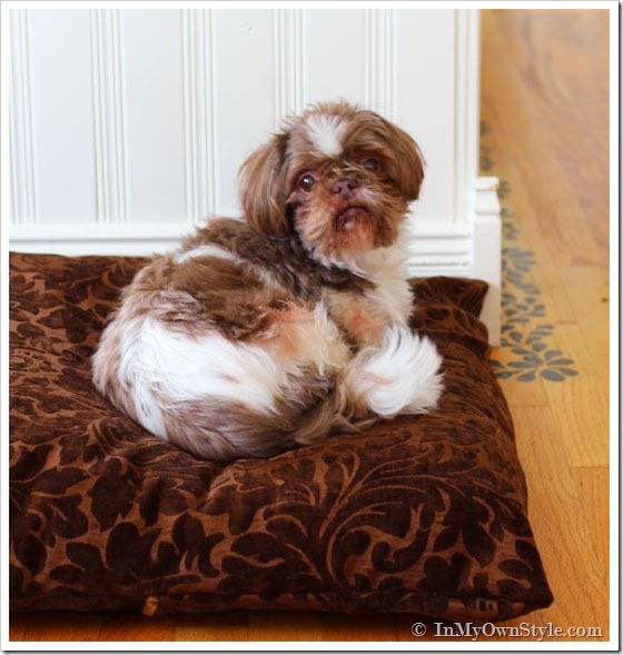 How to make a dog bed