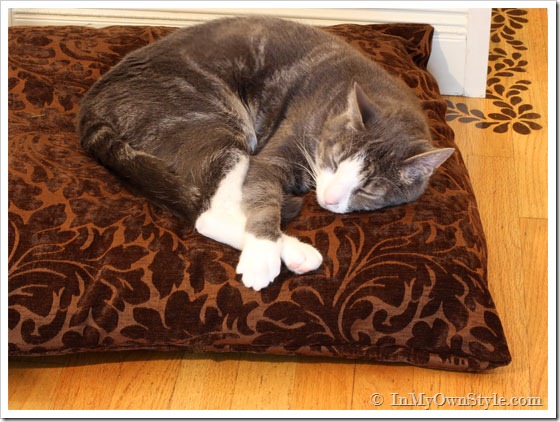 How to make a cat bed