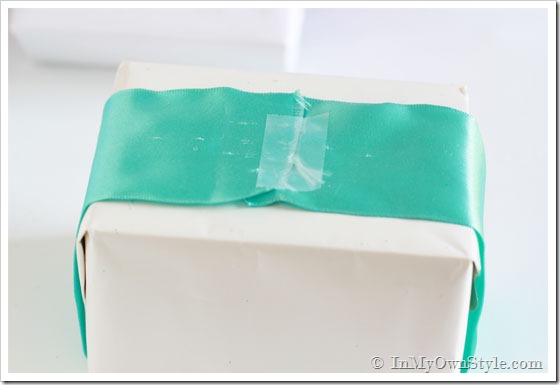 Wrapping-with-scraps-of-rib