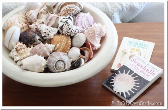 Decorating-with-a-collection-of-seashells
