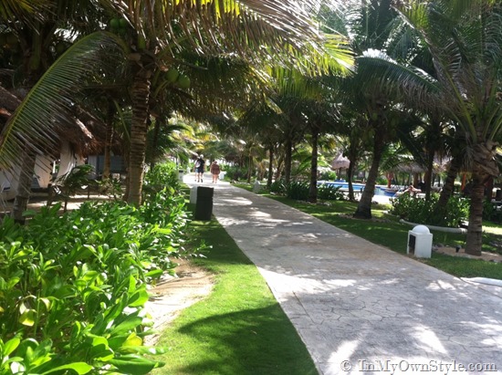 1 sunny path
