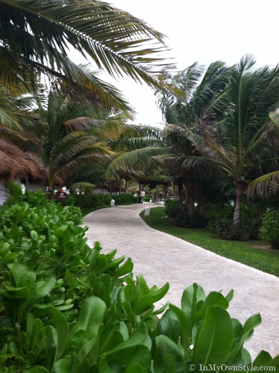 Path