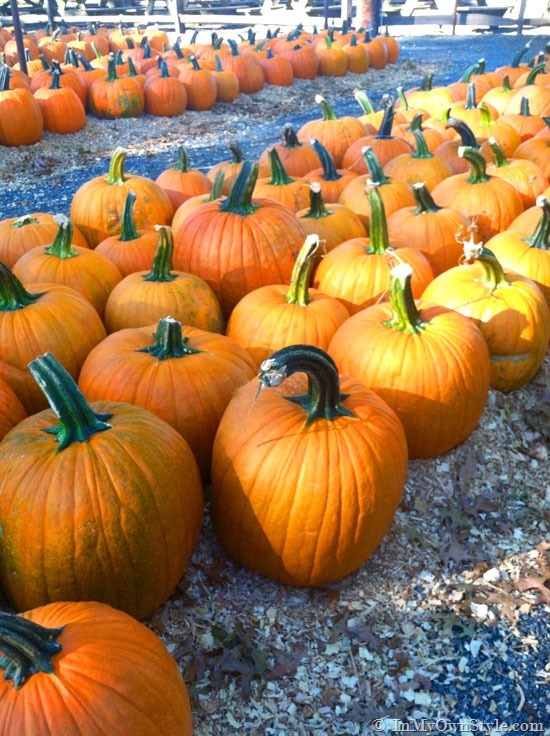 Pumpkin carving ideas for fall