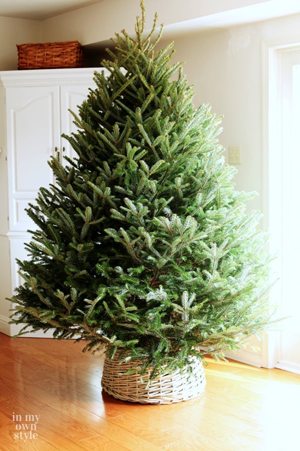 Christmas tree with DIY basket collar around tree stand