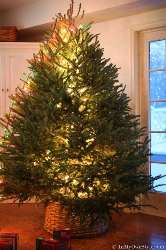 Lighting-a-Christmas-Tree-tricks