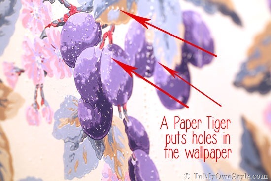 How-to-remove-wallpaper-with-a-Paper-Tiger
