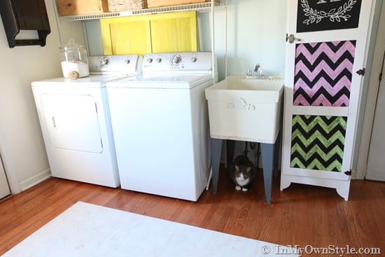 Laundry room shown with laundry sink or as some may call it a utility sink or tub. Grey cat under sink. 

Cat litter box ideas hidden DIY