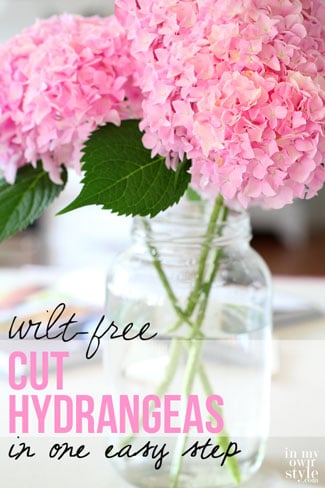 Wilt-free-cut-hydrangeas-in-one-easy-step