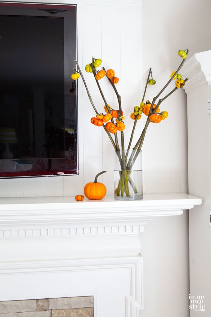 Pumpkin-tree