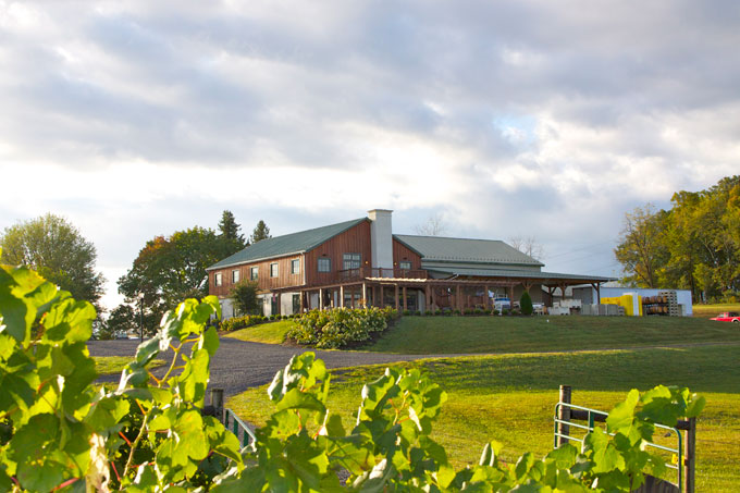 Barren-Ridge-Vineyards