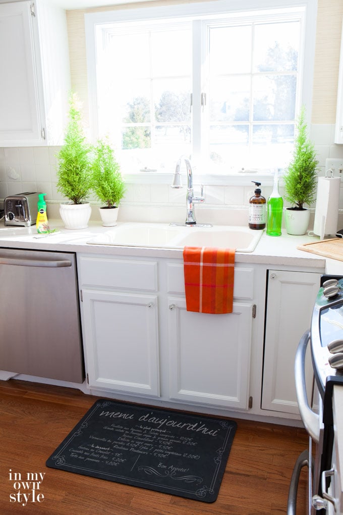 How-to-take-care-of-house-plants