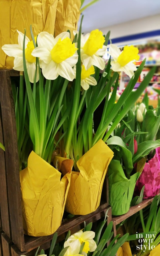 How to gift wrap ugly spring flower pots