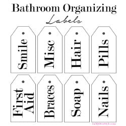 Free Printable Bathroom Labels