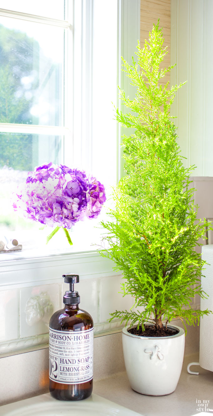 Painted hydrangeas in a sunny kitchen window