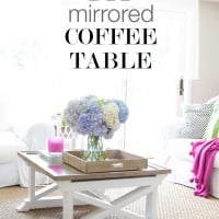 Repurposed mirror and 2 x 4's into a coffee table