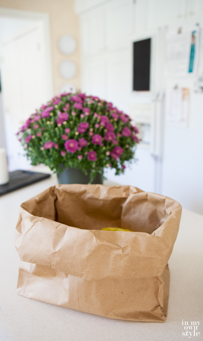 How to make a vase using a paper bag
