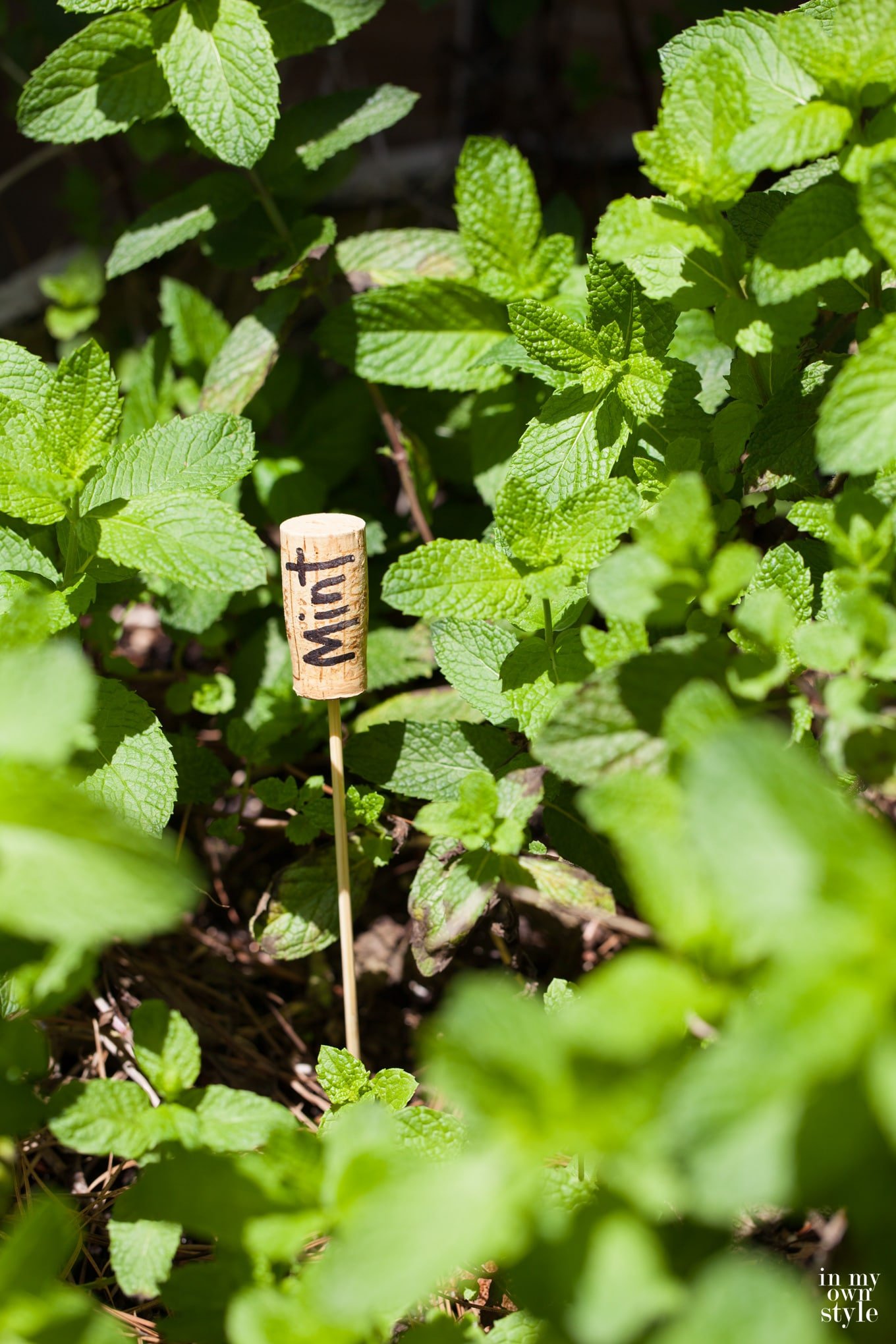 creative ideas for garden markers