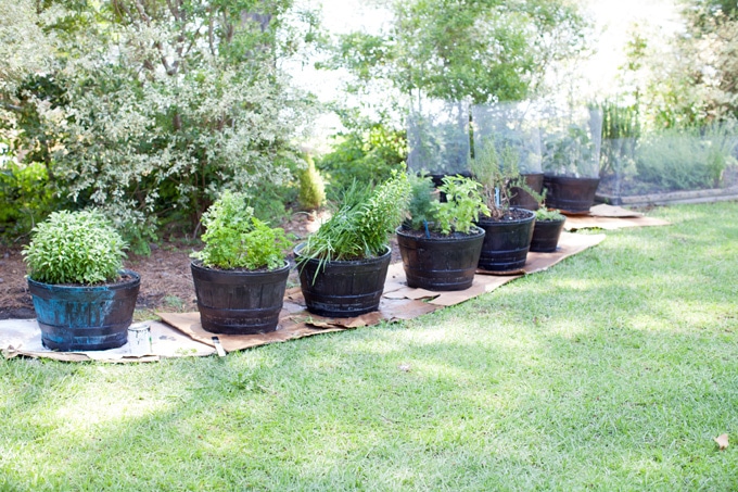 make-outdoor-chalkpaint