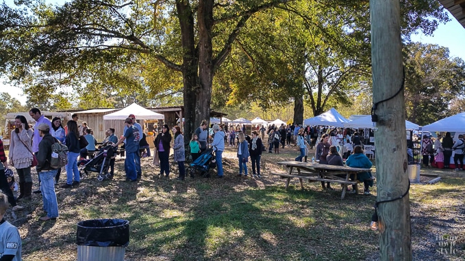 Nest Fest 2016