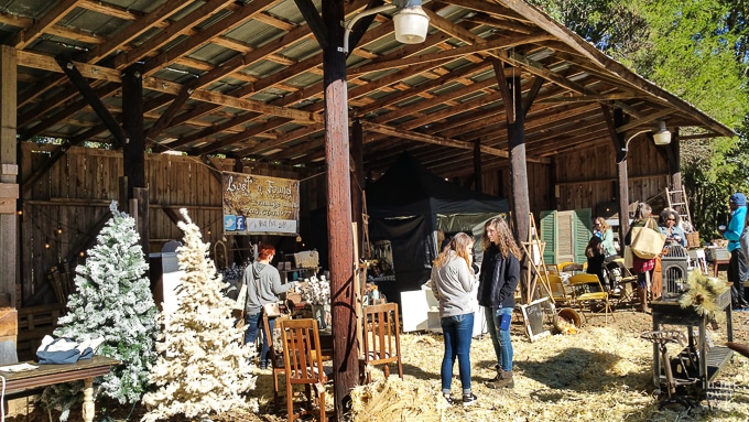 nest-fest-2016-103243