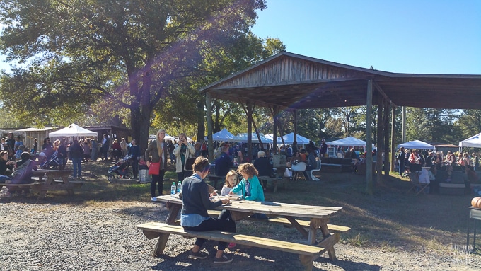 nest-fest-2016-114047