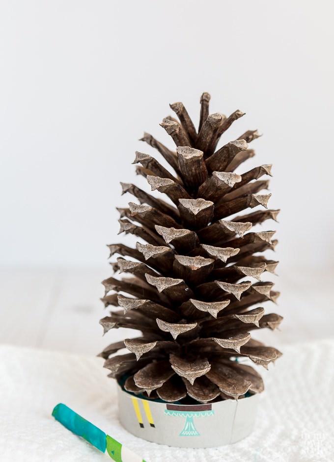 Pine cone crafting idea for Christmas