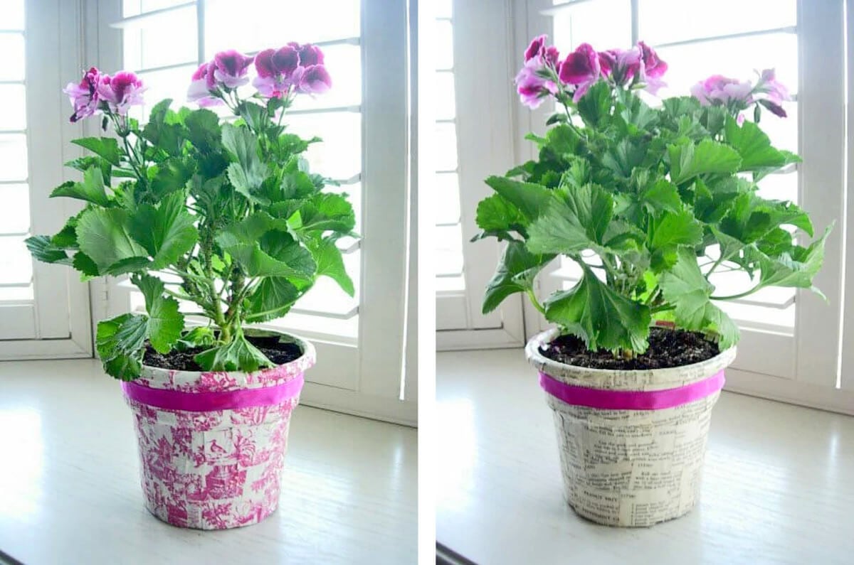 how to wrap flowers to give as a gift.