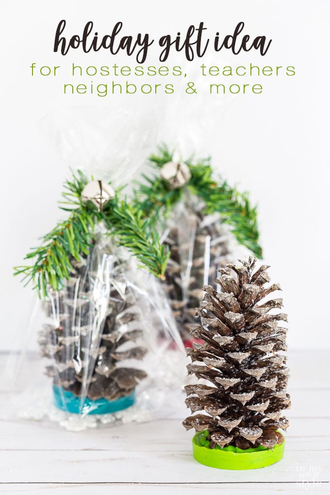 Holiday gift idea to make for hostesses, teachers, neighbors and more. Pine cone crafts to make for Christmas giving and decorating.