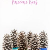 Holiday gift ideas to make using pinecones and essential oils