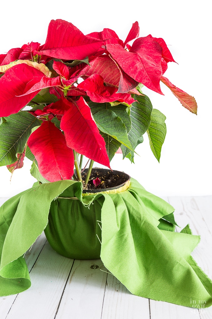 Creative idea to wrap a Christmas plant or flower pot