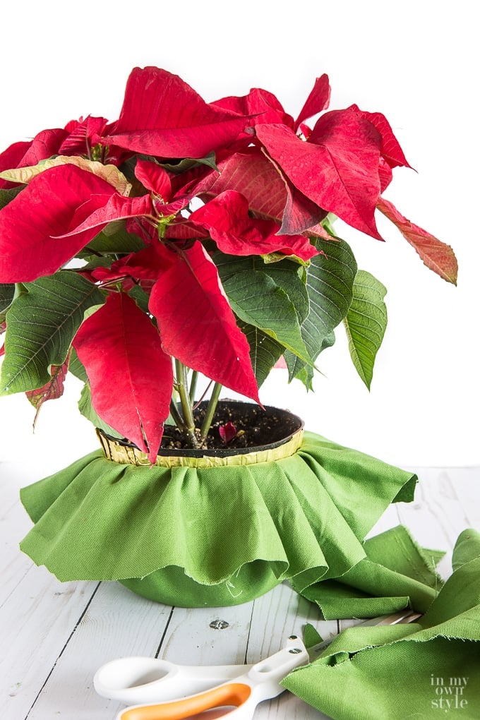 Creative way to hide an ugly plastic flower pot