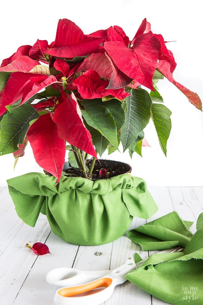 Plastic flower pot hacks