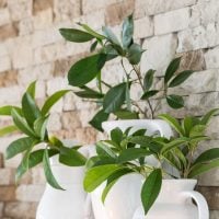 Winter decorating ideas after the holidays. When you don't know how to decorate your mantel and home, try this decorating method to get your home refreshed and decorated in no time. Mid winter decorating ideas.