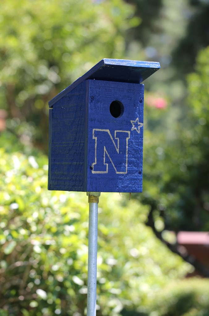 Painted bird house