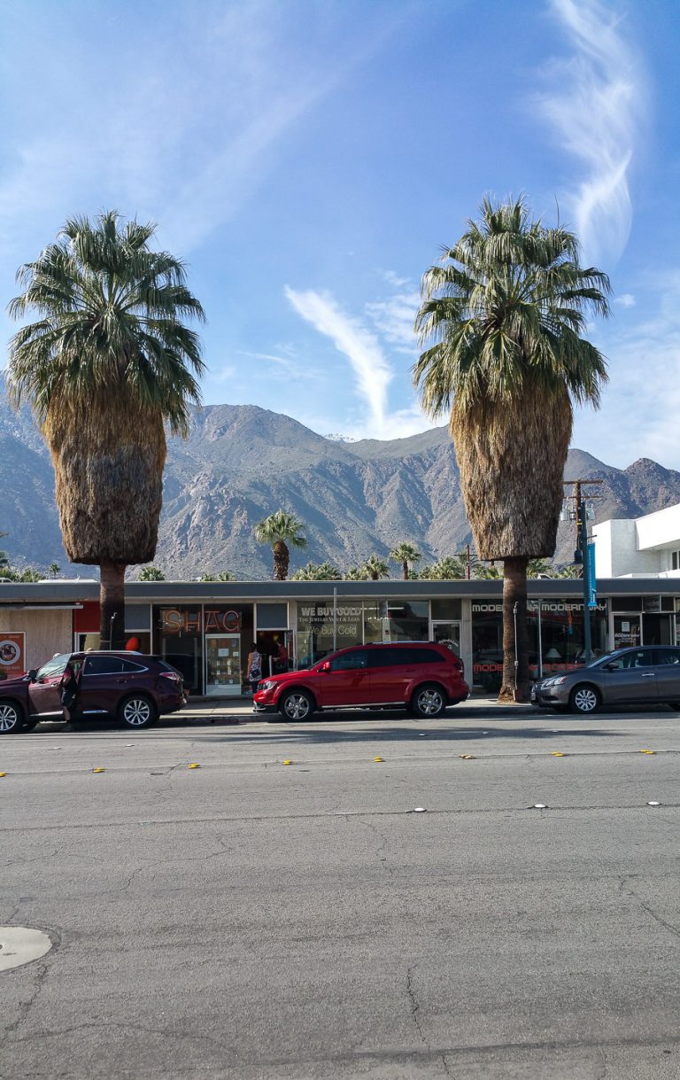 two big palms in Palm Springs California