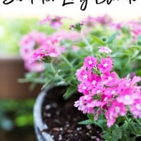 Flower gardening tips that will help flowers bloom all summer long.