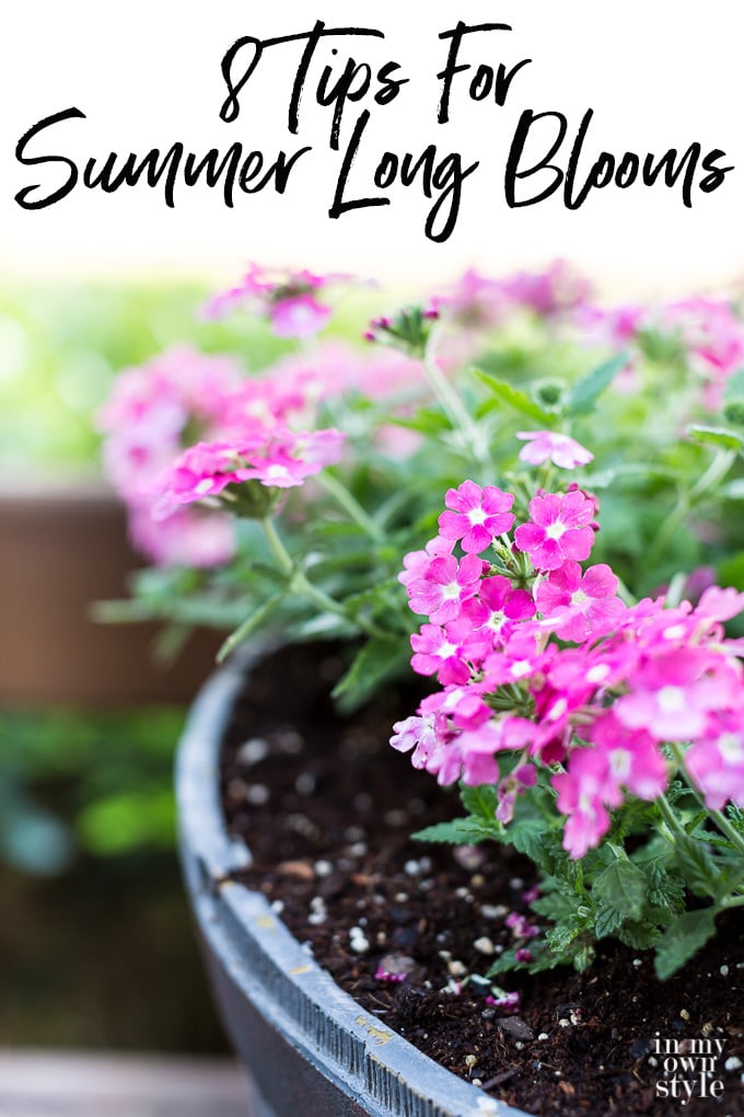 Flower gardening tips that will help flowers bloom all summer long.