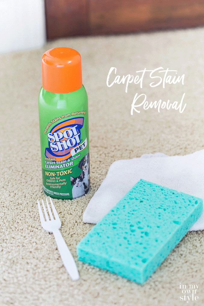 Carpet-and-rug-spot-cleaning-tips