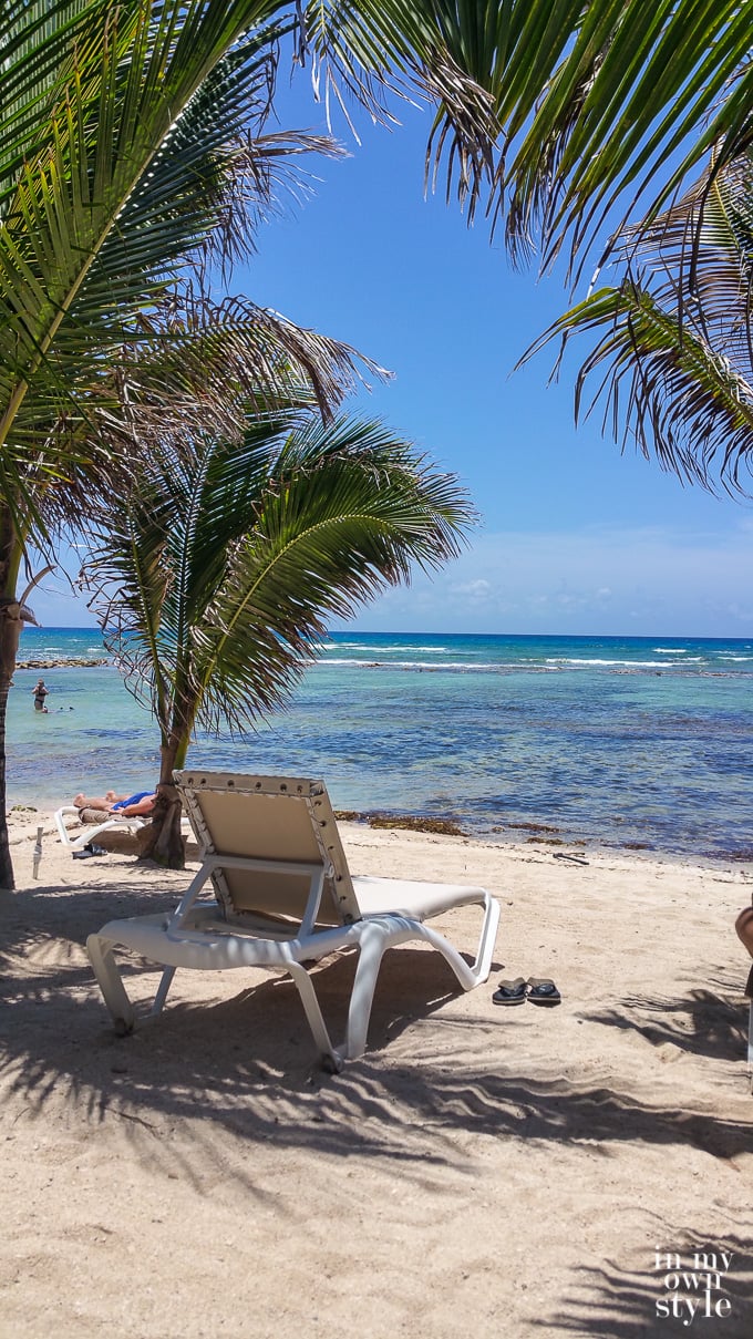 Coral reef along the Riviera Maya